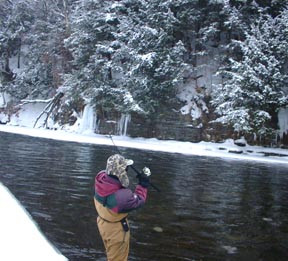 Salmon River Guide Blog Fishing Report ARTICLE on Expert Fish Fighting Techniques for Steelhead or Salmon intro. pic.
