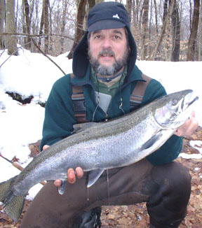 Nice bright 10 lb. Steelhead off the drift boat. Skip and John display several nice bright 10 lb. Steelhead from the drift boat on the Slam’n Salmon River NY.