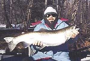 Approx. 16 lb Steelhead kept for the dinner table while fishing off the guide drift boat.
