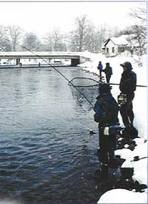Winter Steelhead fishing Salmon River NY. Thomas fly fish's the Lower Fly Fishing Zone.