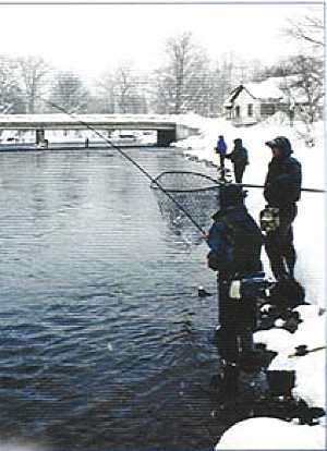 Thomas fly fish's the Lower Fly Fishing Zone for steelhead on the Salmon River.