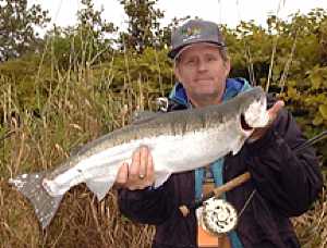 Clint's Magical Silver Bullet fly fishing Steelhead. Clint's Adrenaline was at Warp Speed with this Steelhead!