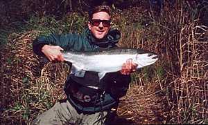 Fall Steelhead fishing Pulaski NY - The Yankee Angler. A fresh steelhead landed while fishing in Pulaski NY.