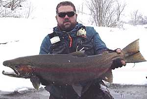 Winter Steelhead fishing Salmon River Pulaski NY. Capt. Bill lands a rare Trophy 20 lb. Steelhead of a Fishing Life-Time!