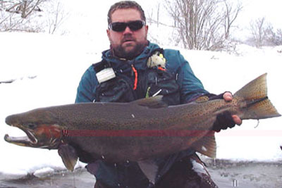 Capt. Bill lands a rare 20 lb. Salmon River Fly Fishing Steelhead in Pulaski NY!