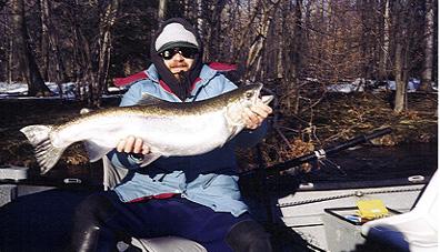 April is the Best Time for Spring Steelhead fishing on the Salmon River NY. 16lb. Trophy Steelhead!