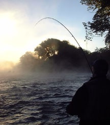 Sunrise fish on from the Salmon River drift boat. Sunrise fish on from this Salmon River drift boat guide in Pulaski NY.