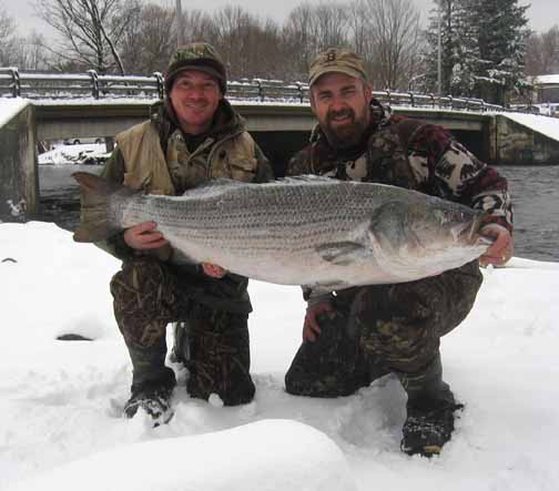 World Record Striped Bass fishing Pulaski NY - Joke.