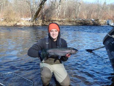 Mikes fishing report steelhead Salmon River Pulaski NY. Mikes Salmon River steelhead from this Pulaski NY fishing report steelhead drift boat guide.