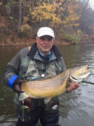 Salmon River fishing report Brown Trout NY. Salmon River fishing report BIG Brown Trout from Upstate NY.