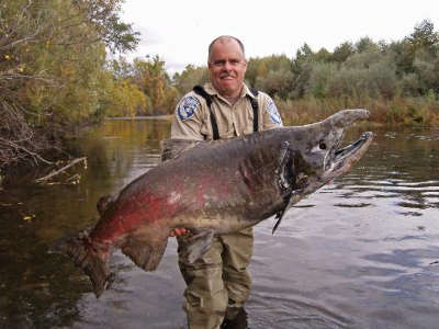 Fishing report King Salmon Pulaski NY fishing humor.