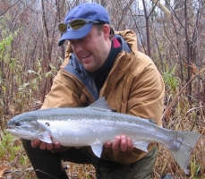 Fall Steelhead fishing Pulaski NY. Bright Fresh steelhead!