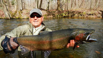 Salmon River Steelhead fly fishing guide in Pulaski NY. On a Spring drift boat Trip, Anton lands this Nice 16 lb. Trophy Male Steelhead!