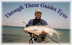 Salmon River NY Fishing Report banner 2. Salmon River NY Fishing Report for King Salmon and Coho Salmon banner 2.