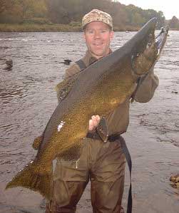 Stan fish's and lands a Salmon River NY 30 plus lb. King Salmon that’s going on the wall!